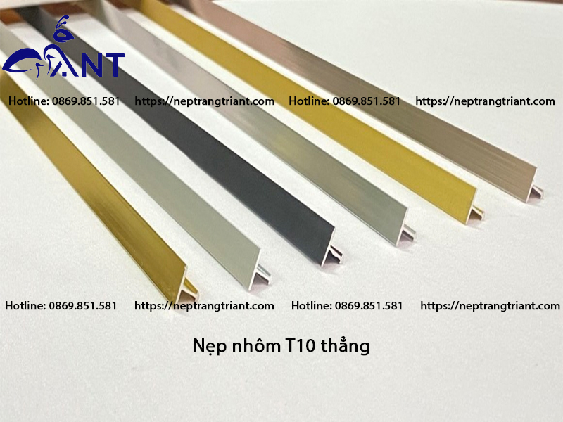 Nẹp nhôm T10