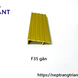 nep-dong-F35-gan